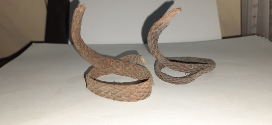 NAAG JADI FOR MONEY AND SECURE YOUR HOME TO SNAKE AND OTHER POISONOUS REPTILES. IT ALSO PROTECTS FROM EVIL EYE AND BLACK MAGIC