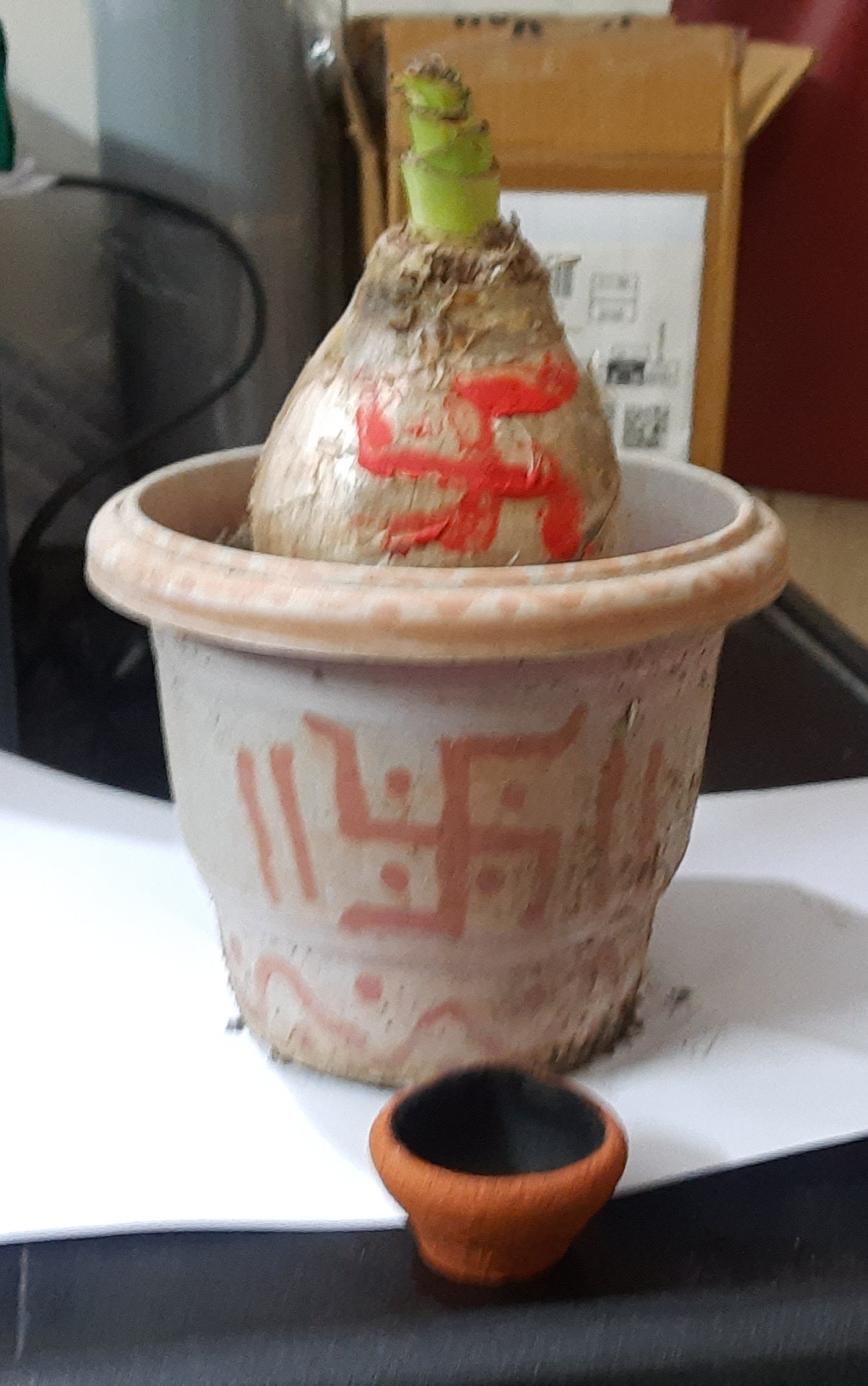 Kuber kandandkuberhandi for money and prosperity at home .कुबेर कंद और कुबेर हांडी लक्ष्मी जी और कुबेर देव