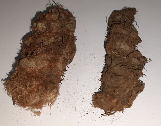 src collections hatha jodi activated in maa chamunda temple. మా చాముండ ఆలయంలో src సేకరణలు హఠా జోడి యాక్టివేట్ చేయబడింది