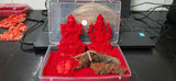 Lakshmi and Ganesha statue Siddh ready to place with Hatha Jodi and Paya Jodi for money and prosperity