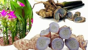 Siddh Kali haldi-black turmeric for home vastu and money.