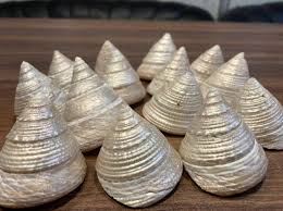 Siddh abhimantrit Sowbaghya Lakshmi Shankh (Original) Set of 11 Pieces