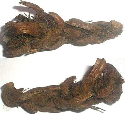 Hindu Guru Goyal Siddh Original Jatashankar Jadibooti Hatha Jodi